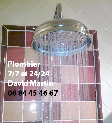 Plombier Ecully changement robinet douche; Plombier dépannage robinet Ecully 1